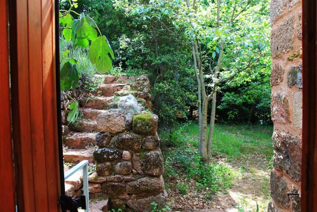 Belle Et Grande Maison Ardechoise Payzac  Экстерьер фото